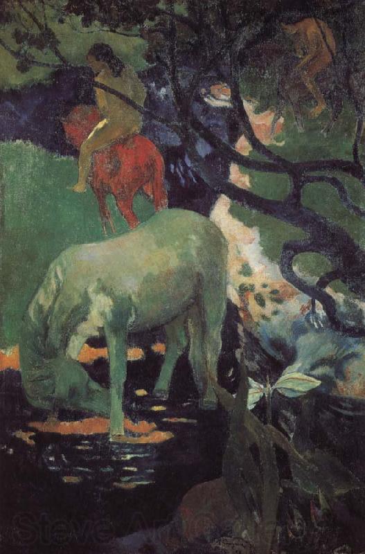 Paul Gauguin Whitehorse Norge oil painting art